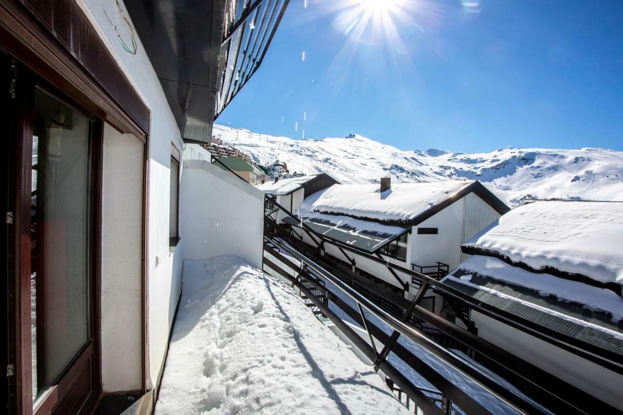 Sunny Appartement